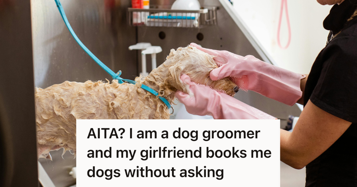 dog groomer giving a dog a bath