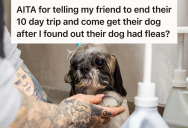 Dogsitter Tried To Help A Friend By Watching His Dog, But He Repaid Her With Fleas, Stress, And A Ruined Friendship