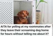 College Student Loses Patience With Roommates’ Screaming Puppy, But They Say She’s The One Out of Line
