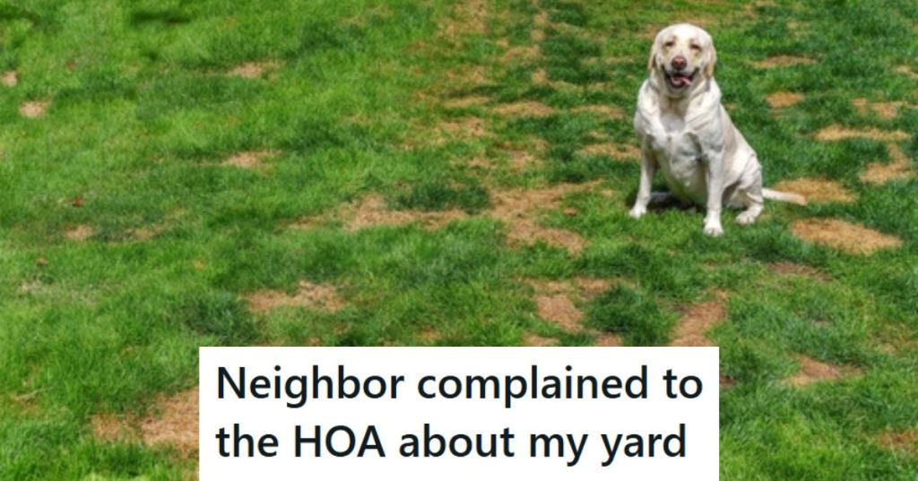 Dog on messed up yard