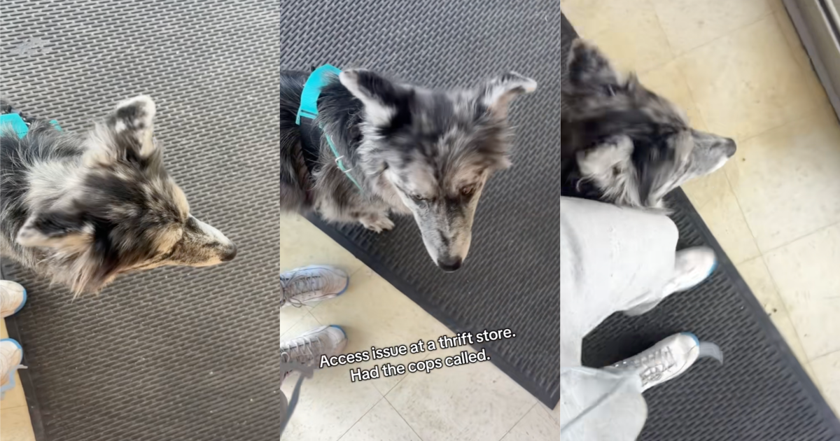 woman with a service dog