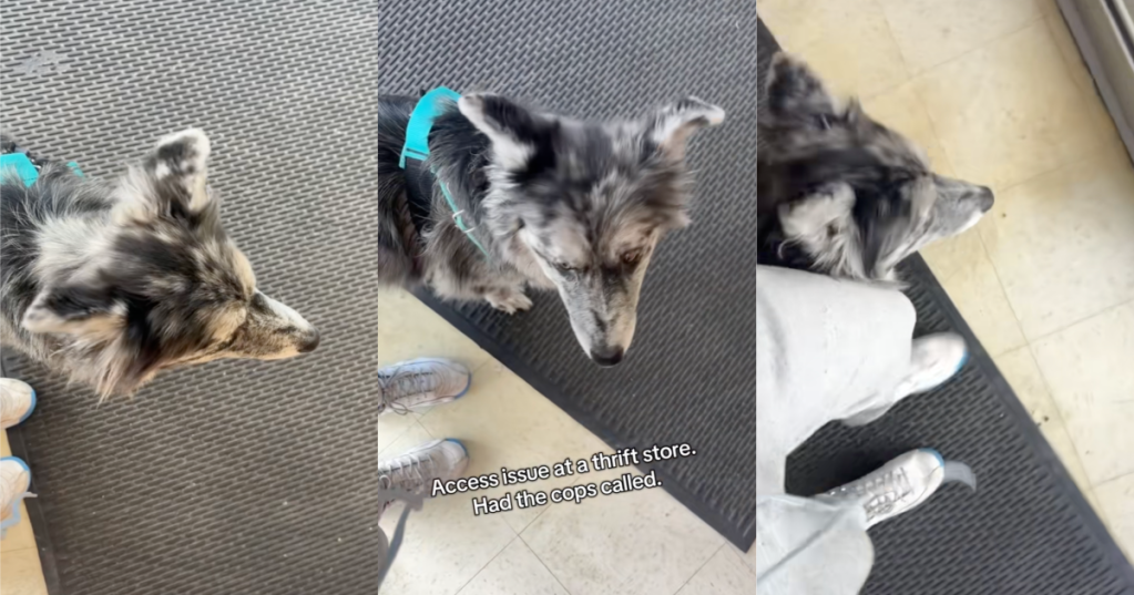 woman with a service dog