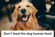 Dog Sitter Tried To Follow Her Sister’s Confusing Feeding Rules, So The Picky Dog Went On A Hunger Strike Until He Got His Way