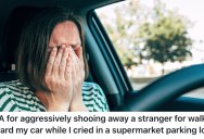 An Upset Shopper Cried In Their Car In A Grocery Store Parking Lot, And They Turned Away A Woman Who Tried To Approach Their Car