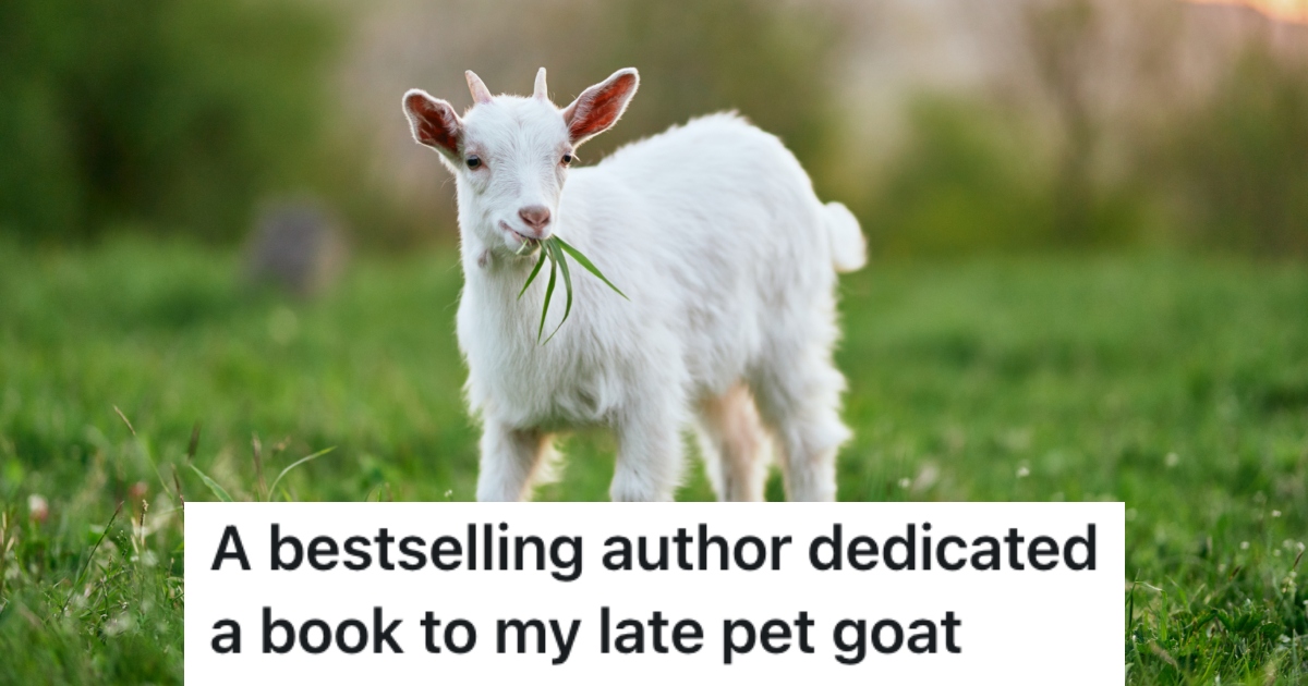 a goat eating grass