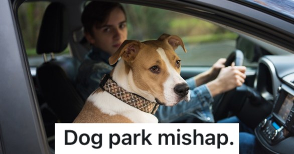 man with dog in a car