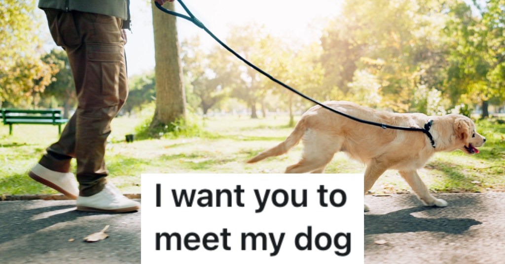 person walking a dog