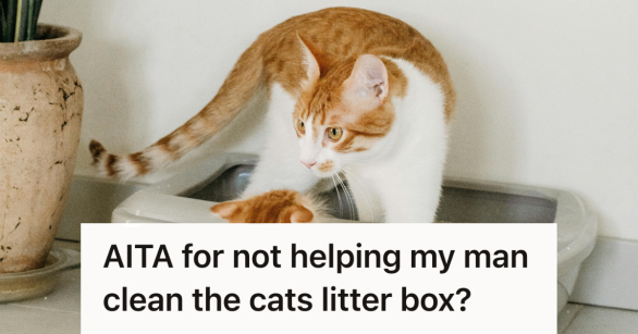 orange cat in a litter box