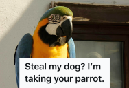 Family Trusted A Trainer With Their Guard Dog, So When He Stole It The Owner Got Even By Taking His Beloved Parrot