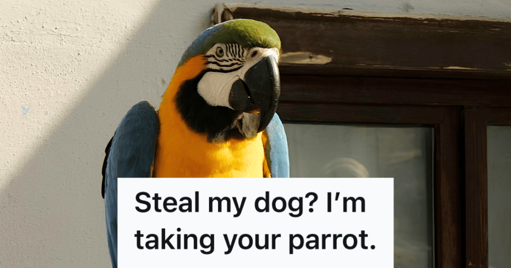 pet parrot