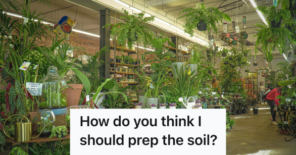 plant store interior