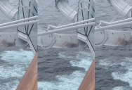 Yikes! A Traveler Got Stuck In A Waterslide On A Cruise Ship.