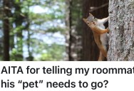 Man Adopts A Wild Squirrel As An “Emotional Support Animal,” But His Roommate Tells Him It’s Gotta Go