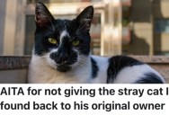 A Good Samaritan Took In A Stray Cat, But Now They Don’t Want To Give Him Back To The Woman Who Posted On Facebook That She Lost Him