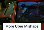 Driver Parked Outside A Restaurant To Pick Up Her Partner, But A Tipsy Stranger Mistook Her Car For An Uber And Her 110-Pound Rottweiler Gave Him Quite A Scare