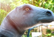 What Was The Largest Animal Ever To Walk In North America, And Just How Big Was It?