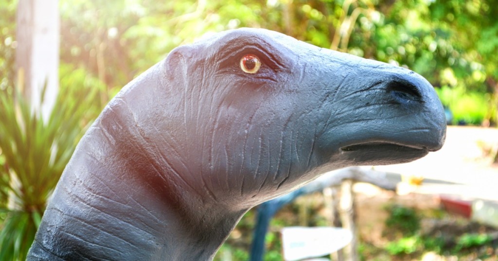 Alamosaurus head