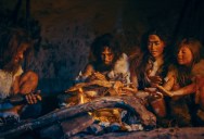 Researchers Have Found A Group Of People Named The Jomon Who Have Almost No Denisovan DNA, And They’re Trying To Figure Out Why