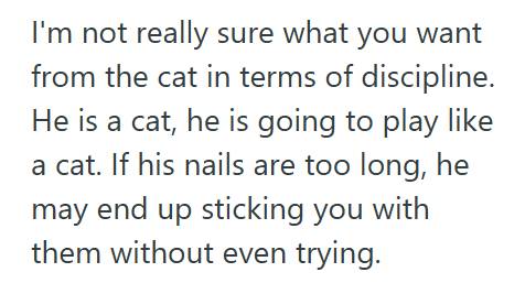 Cat Claws 2 Man Politely Asked His Roommate To Trim Her Cat’s Claws, But She Blew Him Off And Made Him Feel Like The Problem