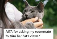 Man Politely Asked His Roommate To Trim Her Cat’s Claws, But She Blew Him Off And Made Him Feel Like The Problem