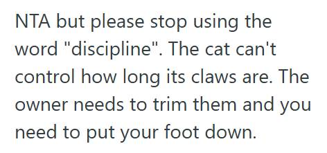 Cat Claws Man Politely Asked His Roommate To Trim Her Cat’s Claws, But She Blew Him Off And Made Him Feel Like The Problem