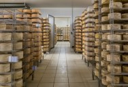 Rapid Evolution Of Fungi In Cheese Caves Has Been Discovered, And It May Help Improve Food Production