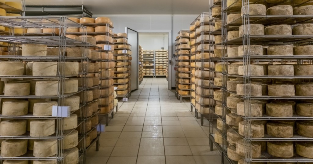 Cheese with green coating