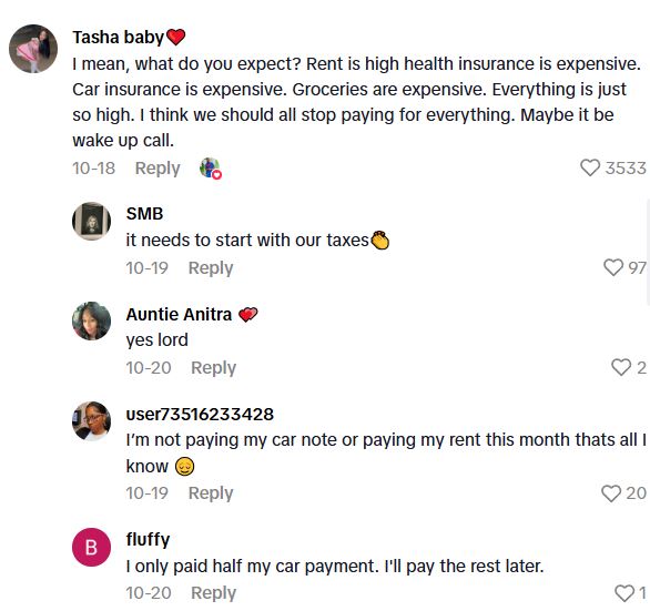 Comment 1 20 As SNAP And Other Benefits Get Cut, There Are Plenty Of People Who Need Food, And According To TikToker, Some Are Rioting And Stealing To Get It