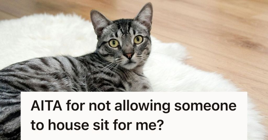 Cat lying on mat and looking at the camera