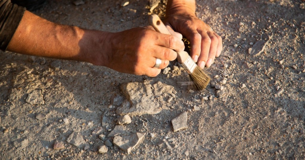 Archeology dig