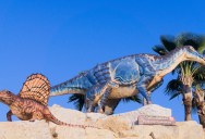 An Extremely Well-Preserved Dinosaur Called Edmontosaurus Proves That At Least One Species Had Hooves