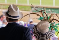 See A Beautiful Feather On The Ground? You Might Not Want To Pick It Up Or You Could Be Breaking The Law.