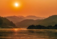 The Saola Is Known As The ‘Asian Unicorn’ and A New Study Suggests A Quirk In Their DNA Could Save Them From Extinction