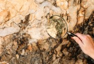 New Machine Learning Algorithm Helps Scientists Identify Oxygen Producing Lifeforms In Rocks Over A Billion Years Older Than Previous Earliest Known Specimens