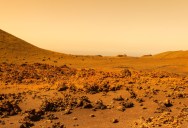 Scientists Claim That Life Was Found On Mars In 1976, But The Tests We Ran Accidentally Destroyed It