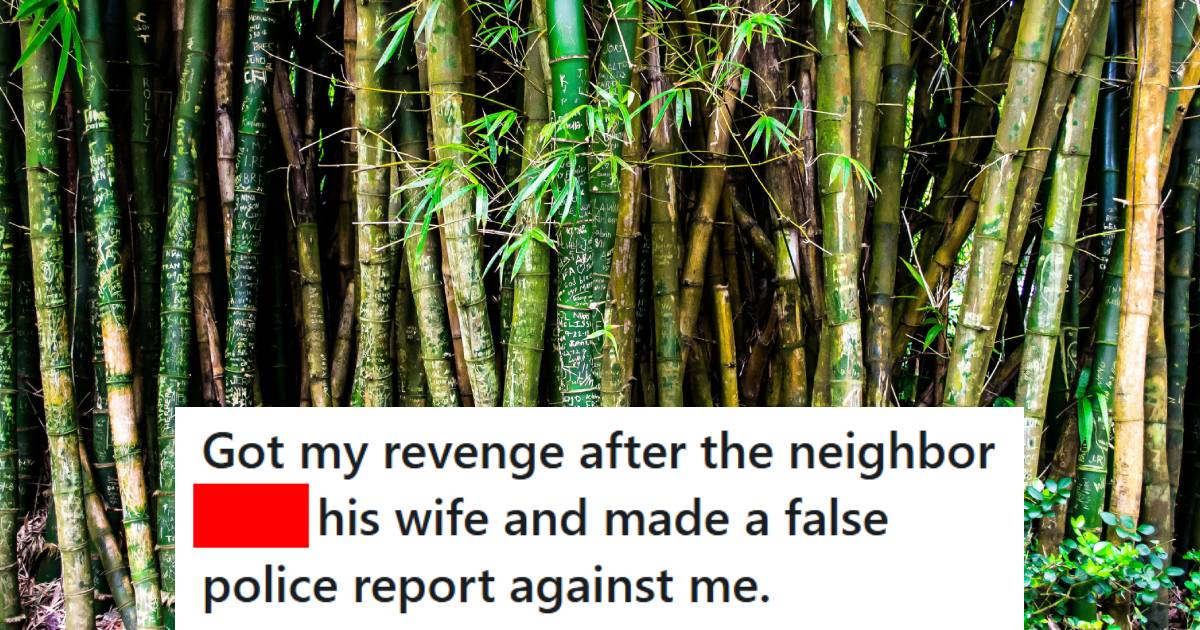 Shoots of bamboo growing all over a man's backyard