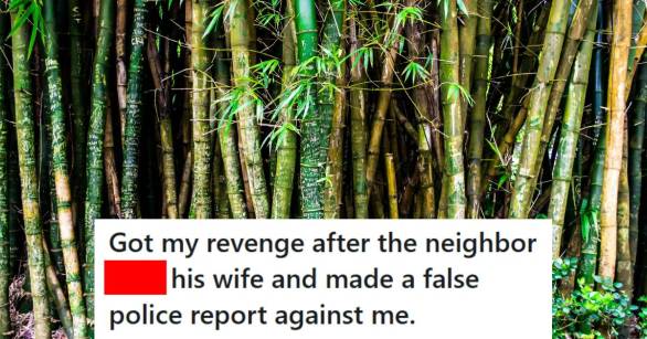 Shoots of bamboo growing all over a man's backyard