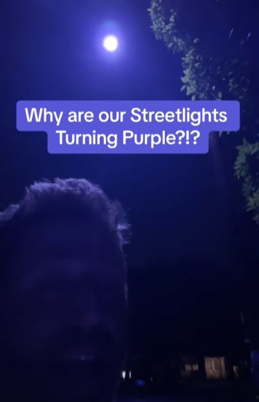 Purple Street Lights