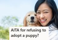 His Girlfriend Wanted To Adopt A Puppy But He’s Seriously Allergic, So He Said No. But Now She’s Calling Him A Liar.
