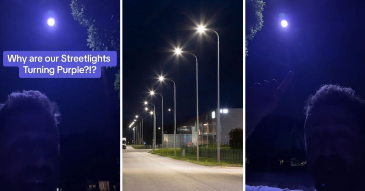 Purple street lights