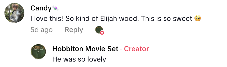 Screenshot 2025 11 02 at 2.23.21 PM Guests Got A Big Surprise When Elijah Wood Crashed A Hobbit Themed Wedding