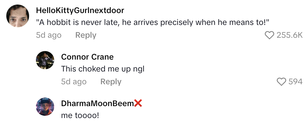 Screenshot 2025 11 02 at 2.23.34 PM Guests Got A Big Surprise When Elijah Wood Crashed A Hobbit Themed Wedding