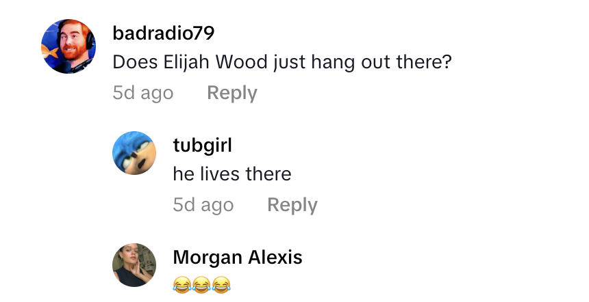 Screenshot 2025 11 02 at 2.24.10 PM Guests Got A Big Surprise When Elijah Wood Crashed A Hobbit Themed Wedding