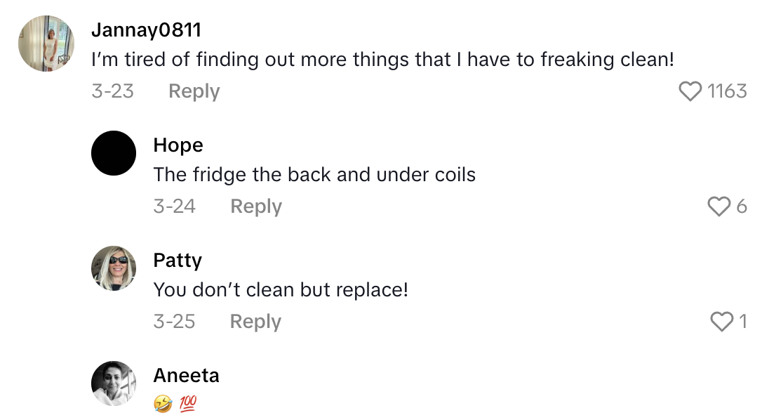 Screenshot 2025 11 02 at 9.13.40 AM A TikTokker Was Surprised To Learn That His Microwave Has A Filter