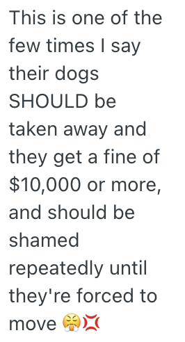 Screenshot 2025 11 05 at 12.37.35 PM A Homeowners Neighbors Wouldnt Control Their Dogs No Matter How Many Times They Talked to Them About It, So They Posted a Video of Them Not Cleaning Up After Them For the Whole Neighborhood