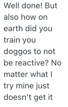 Screenshot 2025 11 05 at 12.38.02 PM A Homeowners Neighbors Wouldnt Control Their Dogs No Matter How Many Times They Talked to Them About It, So They Posted a Video of Them Not Cleaning Up After Them For the Whole Neighborhood