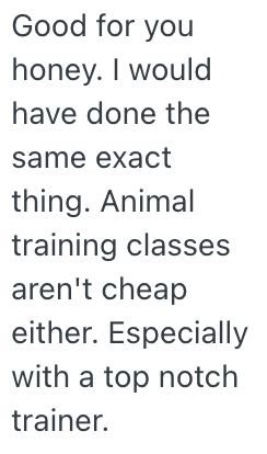 Screenshot 2025 11 05 at 12.38.19 PM A Homeowners Neighbors Wouldnt Control Their Dogs No Matter How Many Times They Talked to Them About It, So They Posted a Video of Them Not Cleaning Up After Them For the Whole Neighborhood