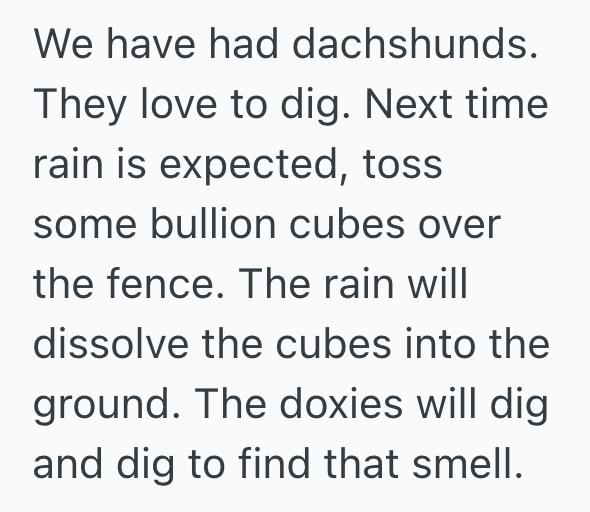 Screenshot 2025 11 05 at 7.53.03 PM Annoying Neighbors Let Their Dogs Bark Outside All Day, So The Next Door Neighbors Get Revenge With Another Annoying Sound