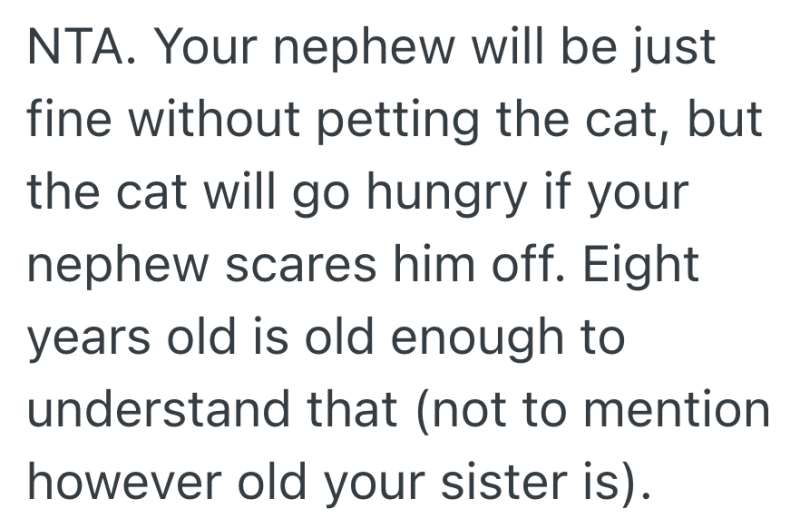 Screenshot 2025 11 05 at 9.03.25 AM e1762351549891 Uncle Feeds Neighborhood Cat Without Calling His Nephew After the Boy Scared It Away Once, And Now the Family Says He Went Too Far