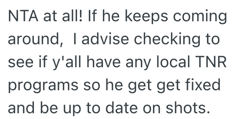 Screenshot 2025 11 05 at 9.03.40 AM e1762351544802 Uncle Feeds Neighborhood Cat Without Calling His Nephew After the Boy Scared It Away Once, And Now the Family Says He Went Too Far